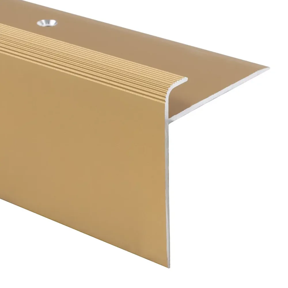 Floordirekt Profilé De Rénovation De Marche<Seuil d'escalier Safety Forme: F Aluminium anodisé Or élégant S 90 cm