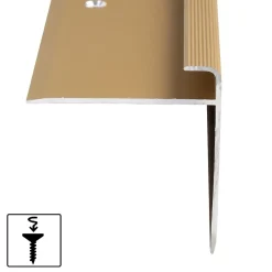 Floordirekt Profilé De Rénovation De Marche<Seuil d'escalier Safety Forme: F Aluminium anodisé Or élégant S 90 cm