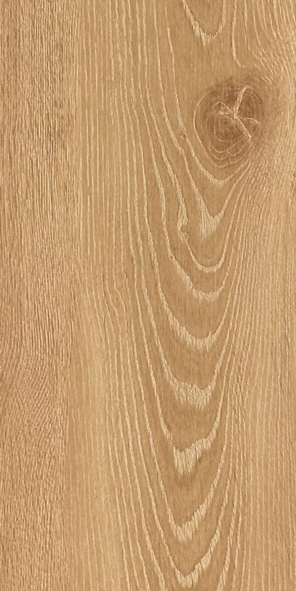 Homflor Sol stratifié Dorado bâton rompu , passage intense AC5, effet chêne blond, L.64,4 cm x l.14,3 cm x ép.8 mm, résistant à l'eau- Sol Stratifié