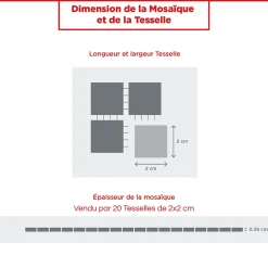 Casa Linéa Tesselle OR BLANC/ARGENT MARTELE TRAME NYLON 20 PIÈCE 2 x 2 x 0,38 CM CASA LINEA- Mosaïque Pour Pièce À Vivre