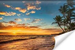 Muralo Papier Peint Panoramique<Vlieseline Papier Peint Photo COUCHER DE SOLEIL Plage Mer Paysage 3D 315cm x 210cm