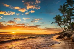 Muralo Papier Peint Panoramique<Vlieseline Papier Peint Photo COUCHER DE SOLEIL Plage Mer Paysage 3D 315cm x 210cm